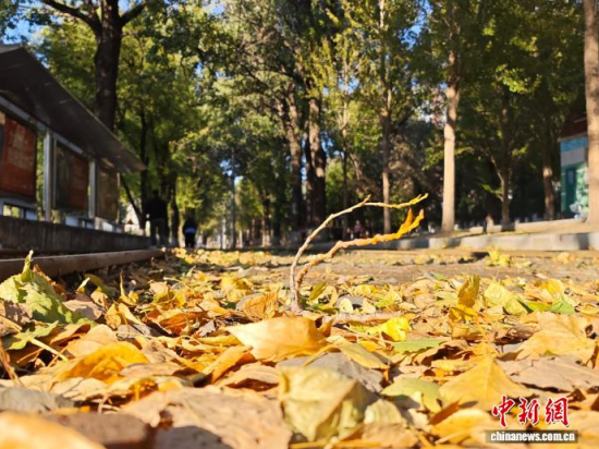 S54·܉܇ؾh(hun)߅L(fng)òS~䁝M· z