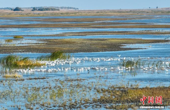 1016ĪĪҼȻo^(q)Ȱڑˮ(o˙CƬ)w z