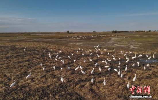 1016գڼĪĪҼȻo^(q)ȰQϢ(o˙CƬ)w z