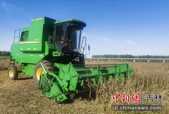 馬俊超/供圖 馬俊超/供圖