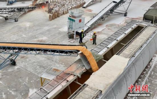 11��8�գ�ɢ�Z��������ԭ�Z�쌣�þ����b܇���I(y��)�������� �z