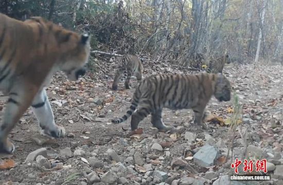 2025���ږ|���������ҹ��@�Ĕz���Ė|������(��ҕ��ý���D)