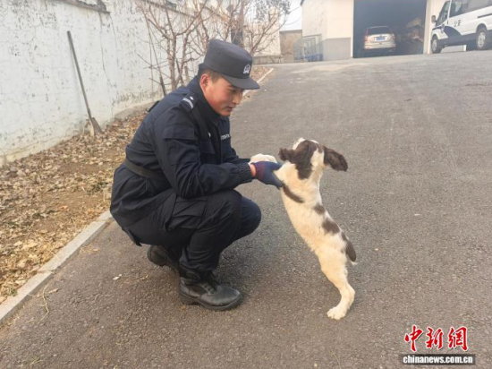 ���Ҳ������c�[�����B(y��ng)�H�ܶ�����ʯ���� �z