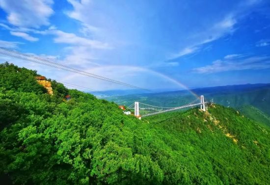 龍井市委宣傳部/供圖 龍井市委宣傳部/供圖