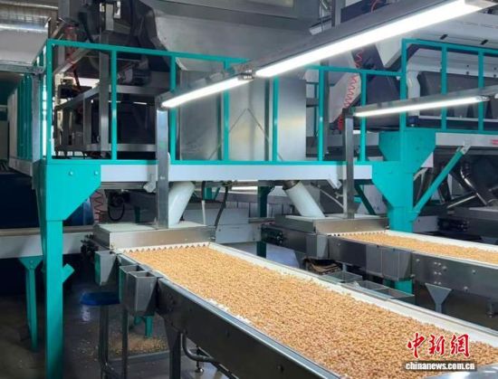 �������a(ch��n)����(�L�����P���D)