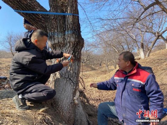 �����ˆT���ڌ�(du��)�����(sh��)���������w�z�������� �z