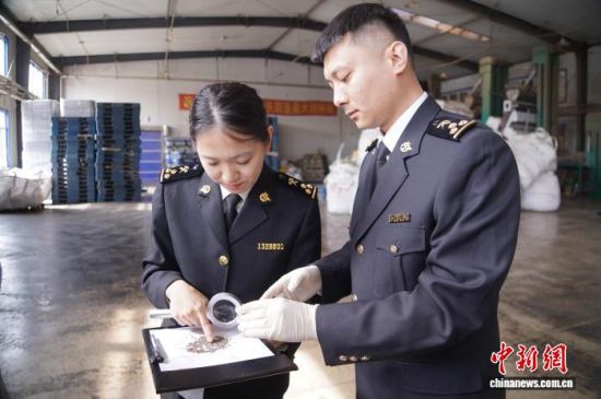 �L��ɽ���P(gu��n)�P(gu��n)�T�_չ�����K�Ѳ��(y��n)���L�����P(gu��n)���D