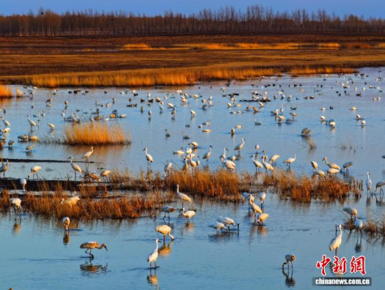 4��11�գ������(zh��n)�l�����Q����ϡ�B���ĪĪ����Ғʳ���������� �z